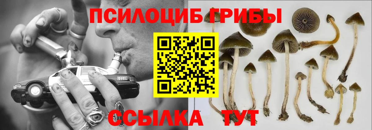 Псилоцибиновые грибы Cubensis  Вход с VPN  Псилоцибиновые грибы ЛСД  Долгопрудный 